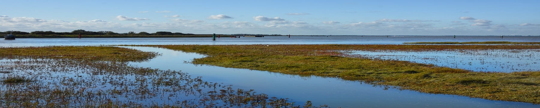 Breydon Water 