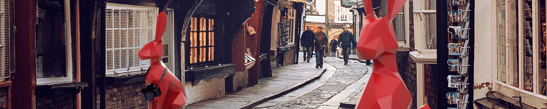 Hares wandering around The Shambles in York