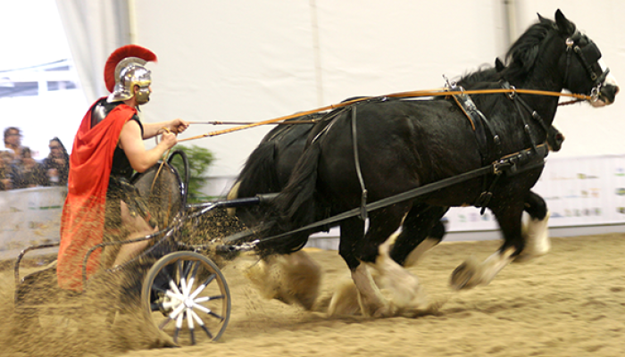 Chariot racing