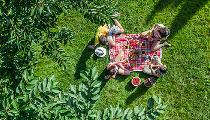 Picnics on Cambridge riverside