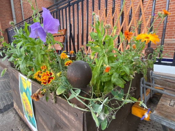 Another planter with yellow and purple flowers