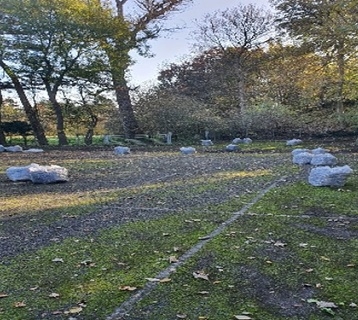 Audley End car park with leaves in bags during clean up sweep