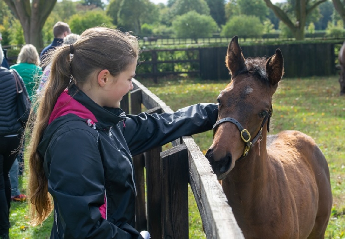 Newmarket junior tour guide