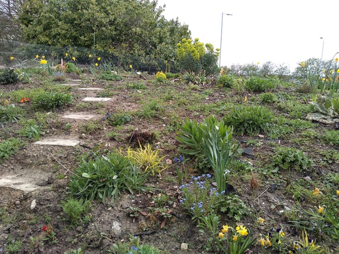 The embankment at Marks Tey station 