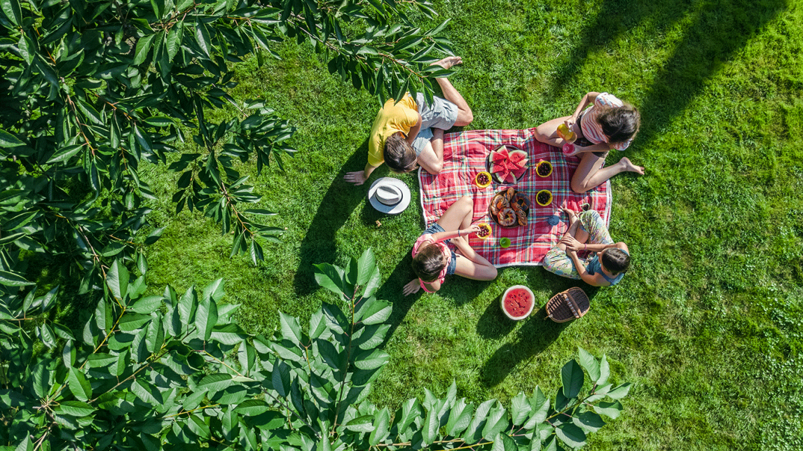 Cambridge picnic