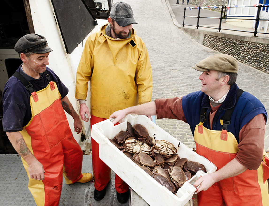 Fishermen with Cromer crab