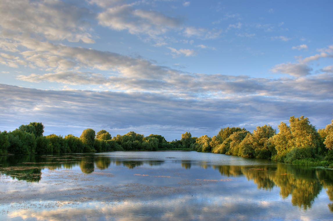 Wild swimming at Milton Country Park