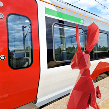 Hare outside Greater Anglia train bike entrance